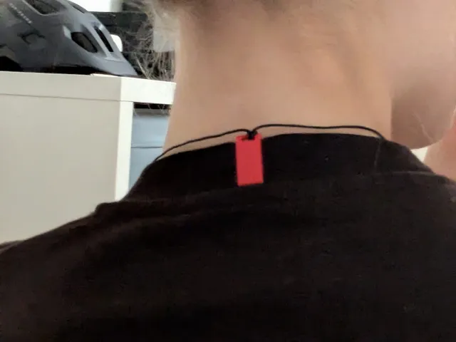 Concert earplugs T-shirt clip