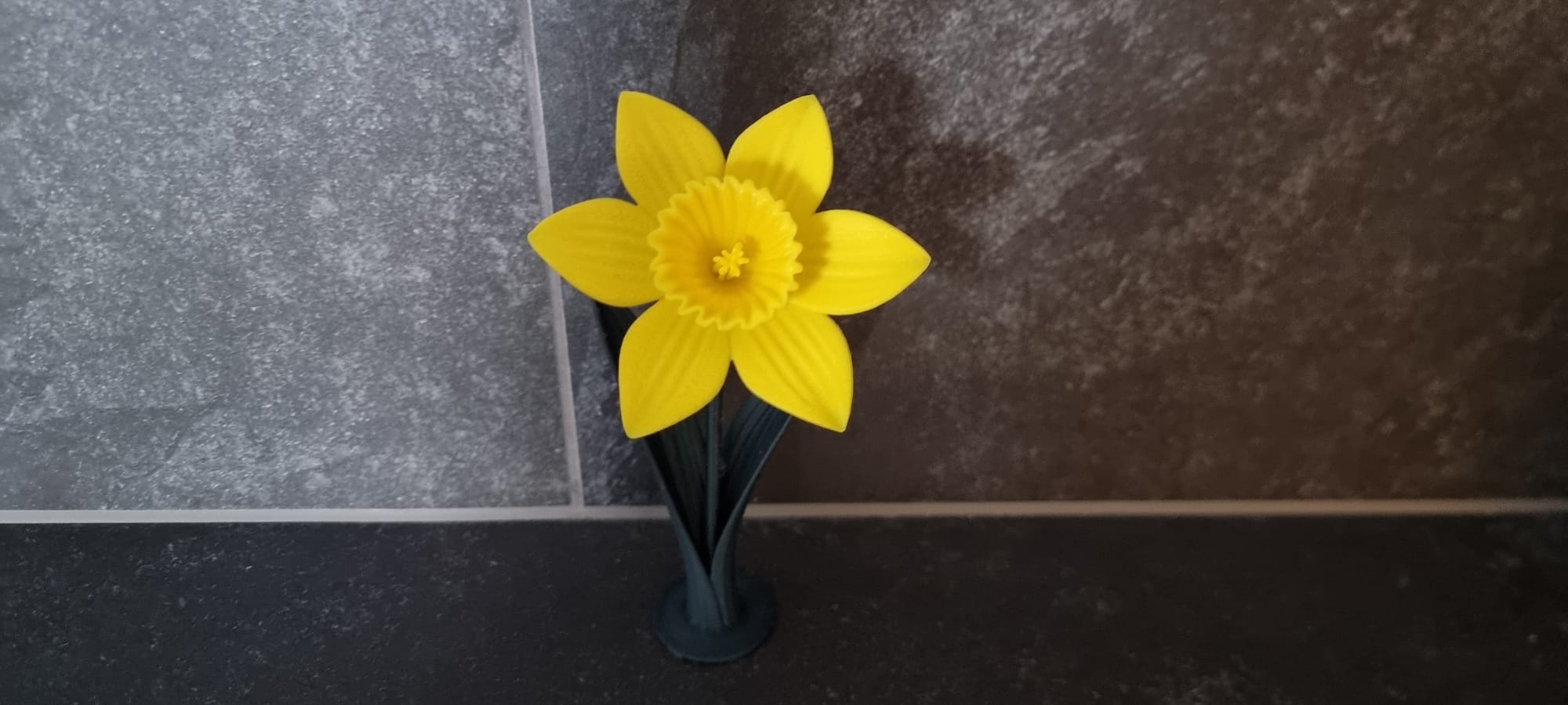 Miniatura 3 do modelo 3D Daffodil
