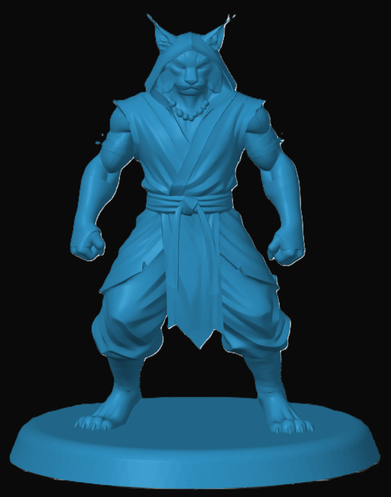 Tabaxi Monk — miniatura 3