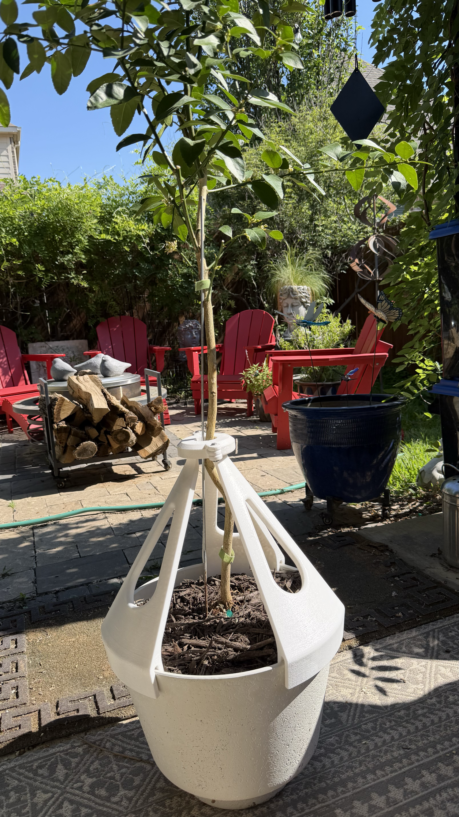 Potted Tree Support