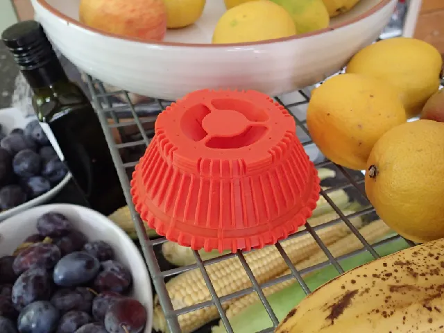 Functionalistic fruit fly trap