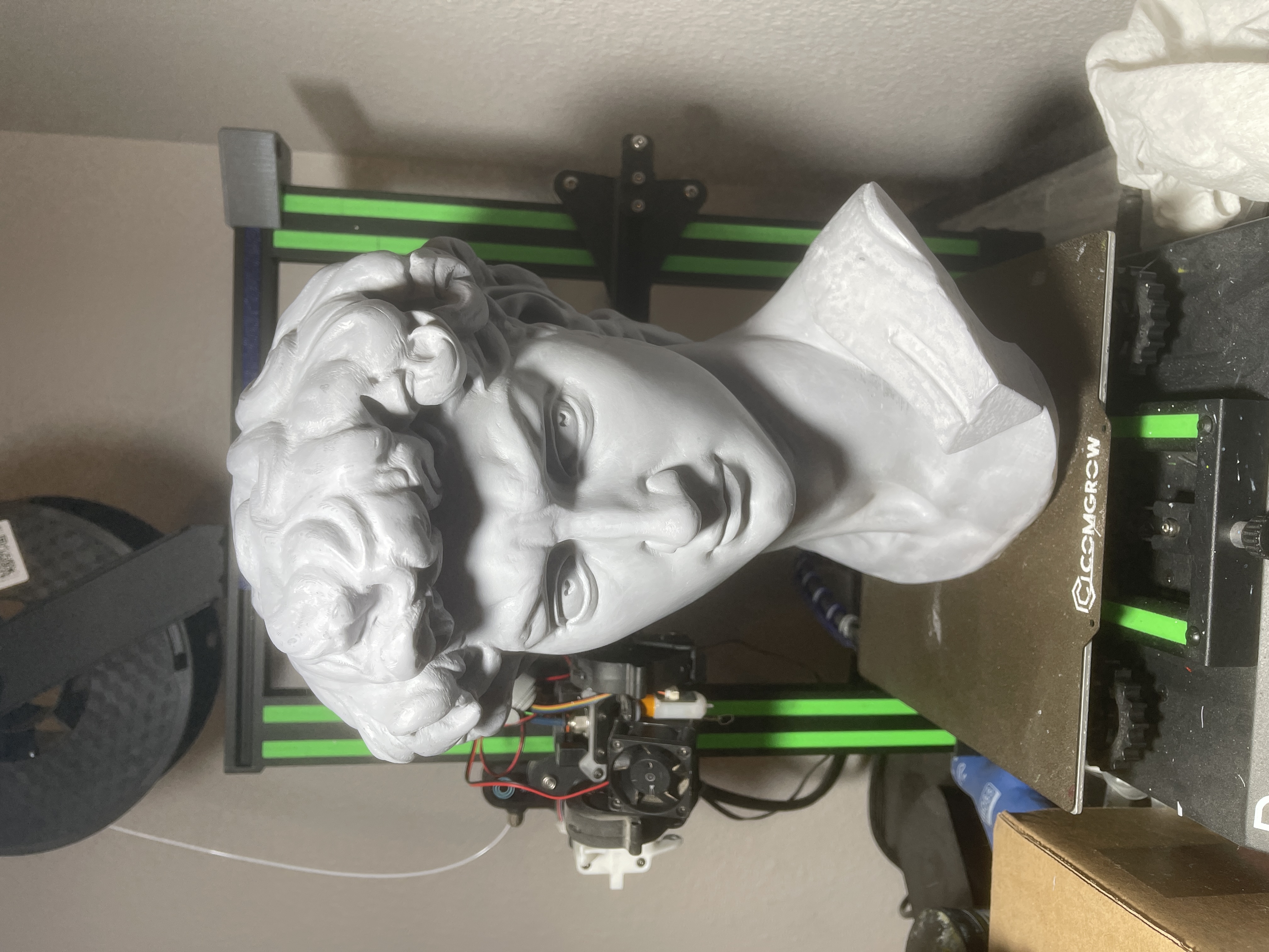 Head of David