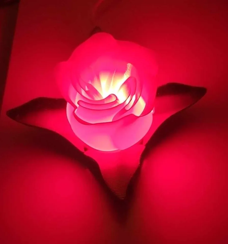 Lampe 3D Rose Black pink - LampePhoto