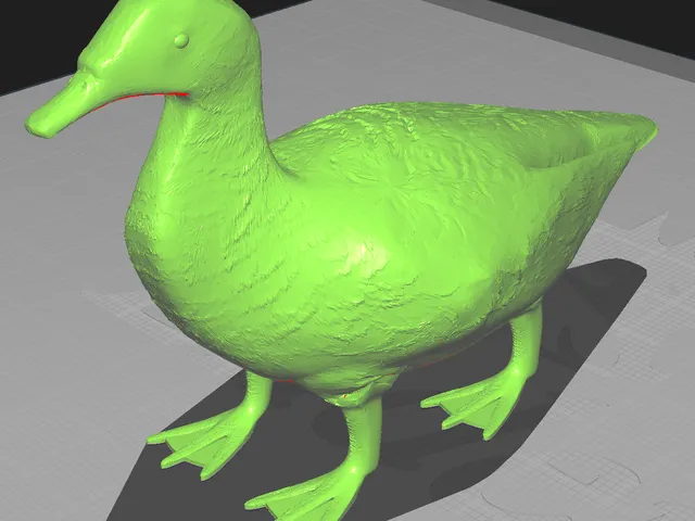 Duck with 4 legs