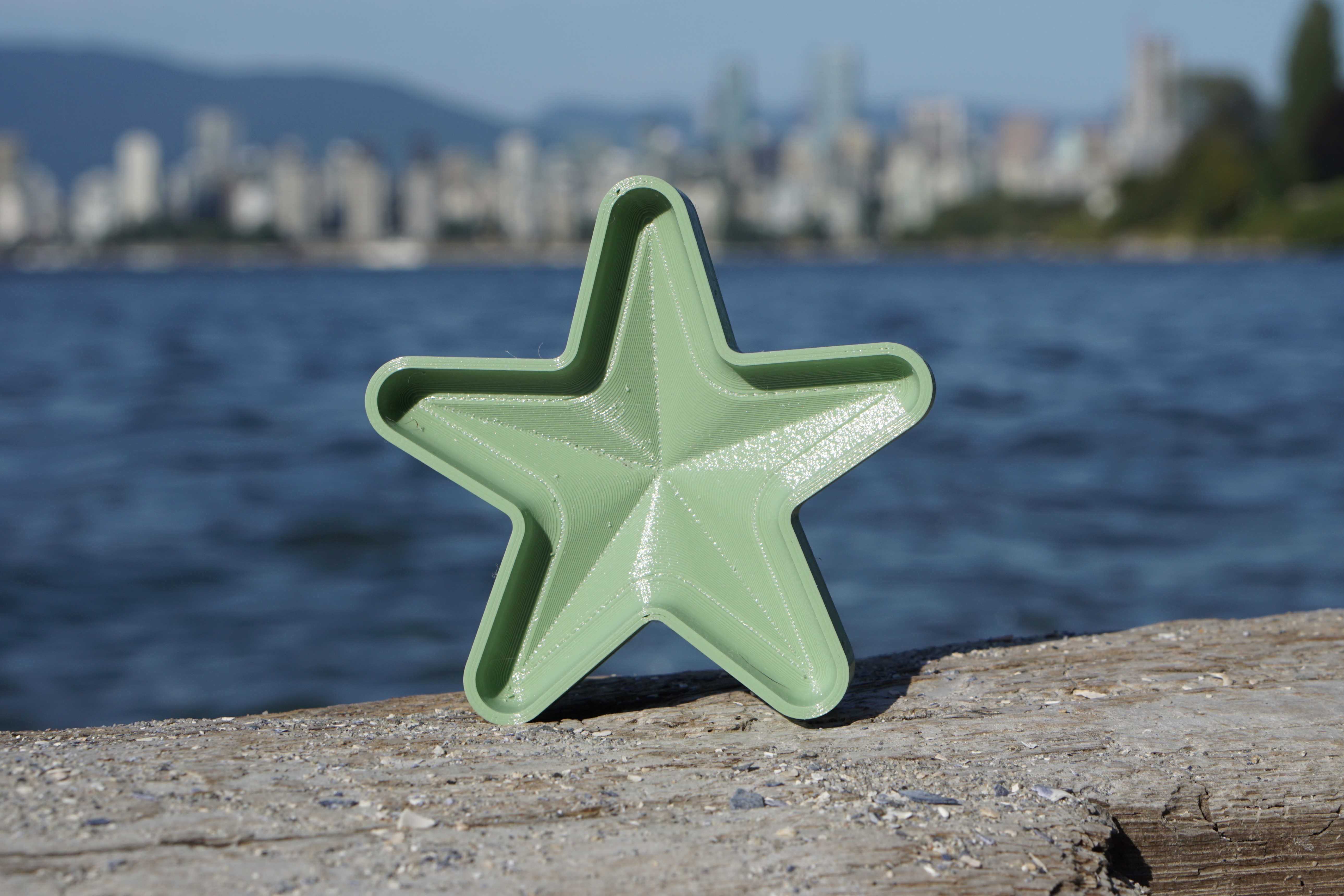 Geometric Starfish Sand Mold