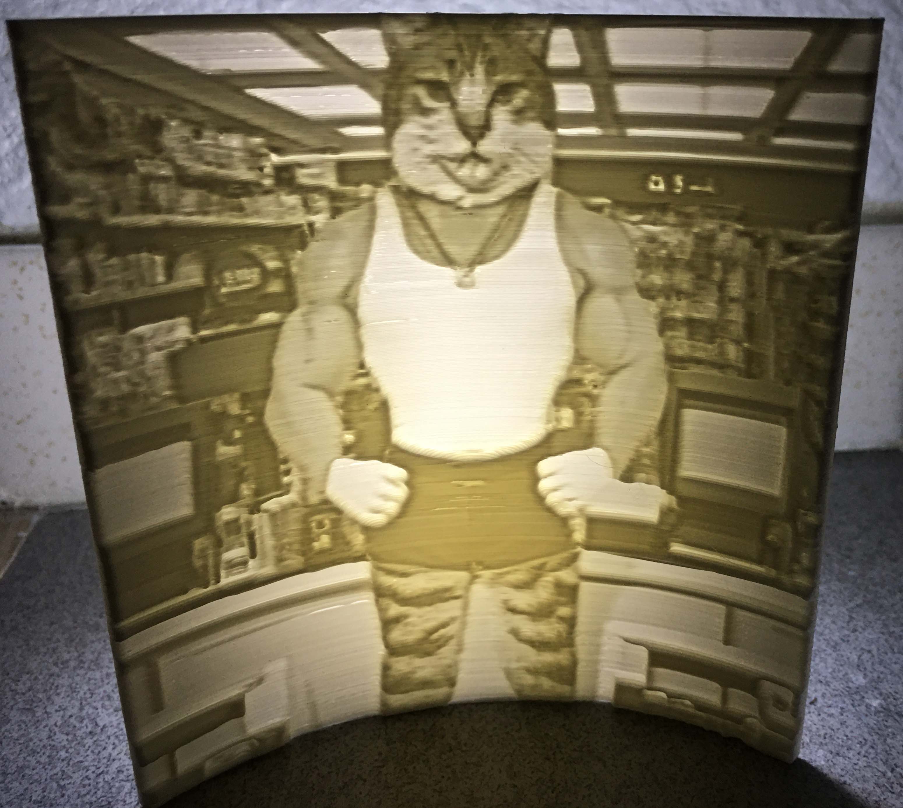 Lithophane of a House Cat Body Builder