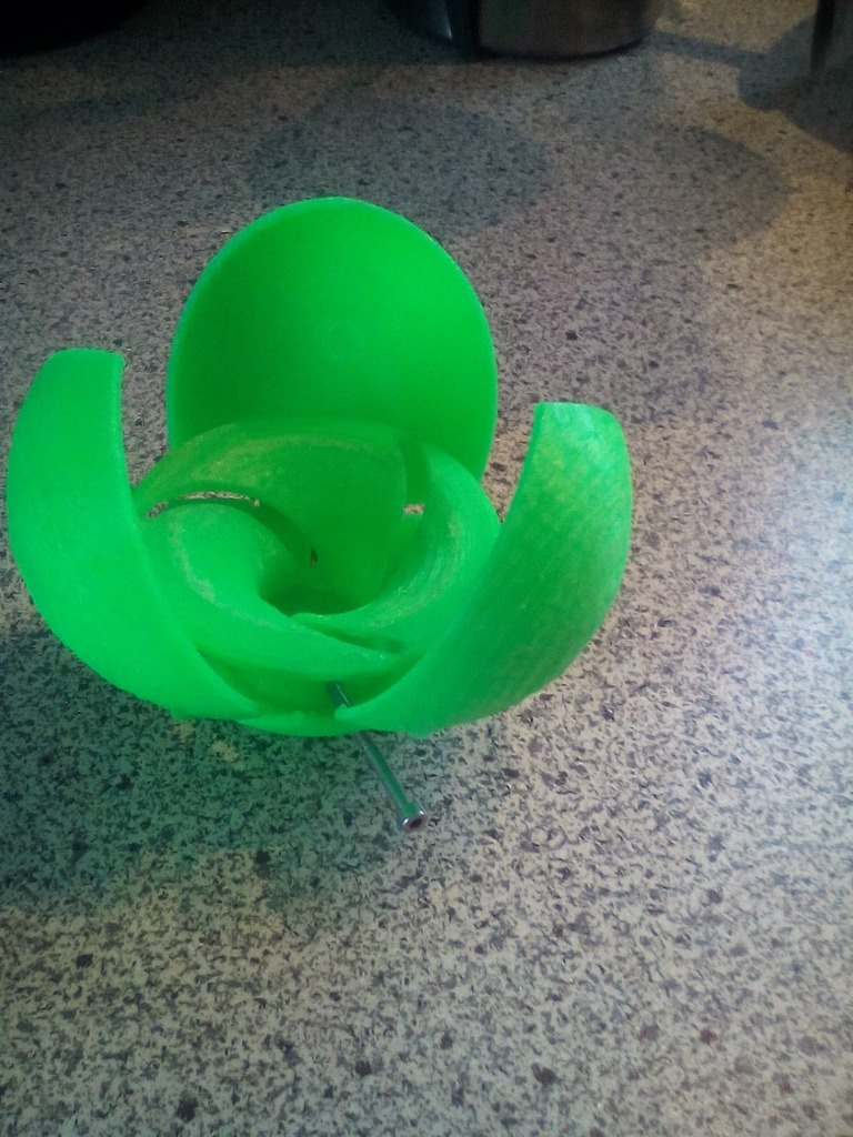 Miniatura 3 do modelo 3D Flower Case