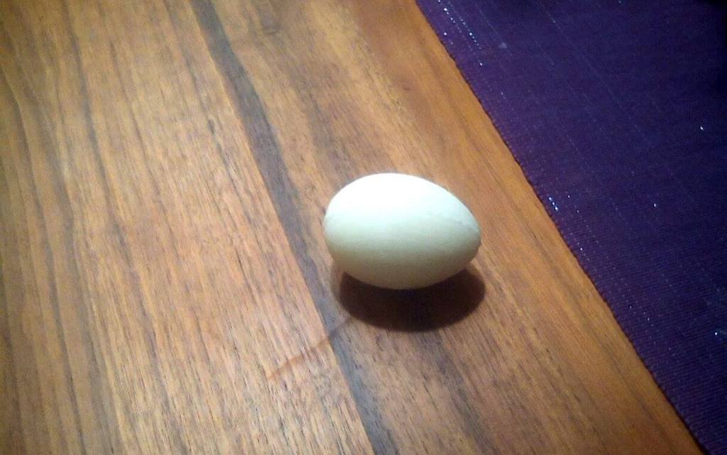 Fun Egg