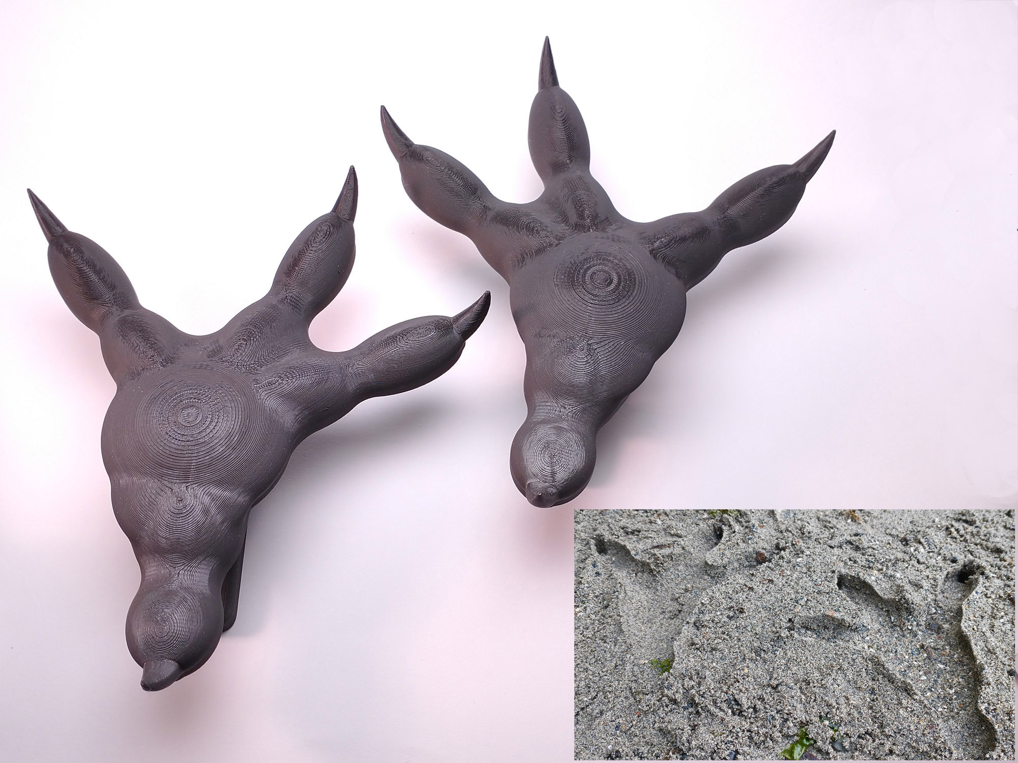 Dino-Prints