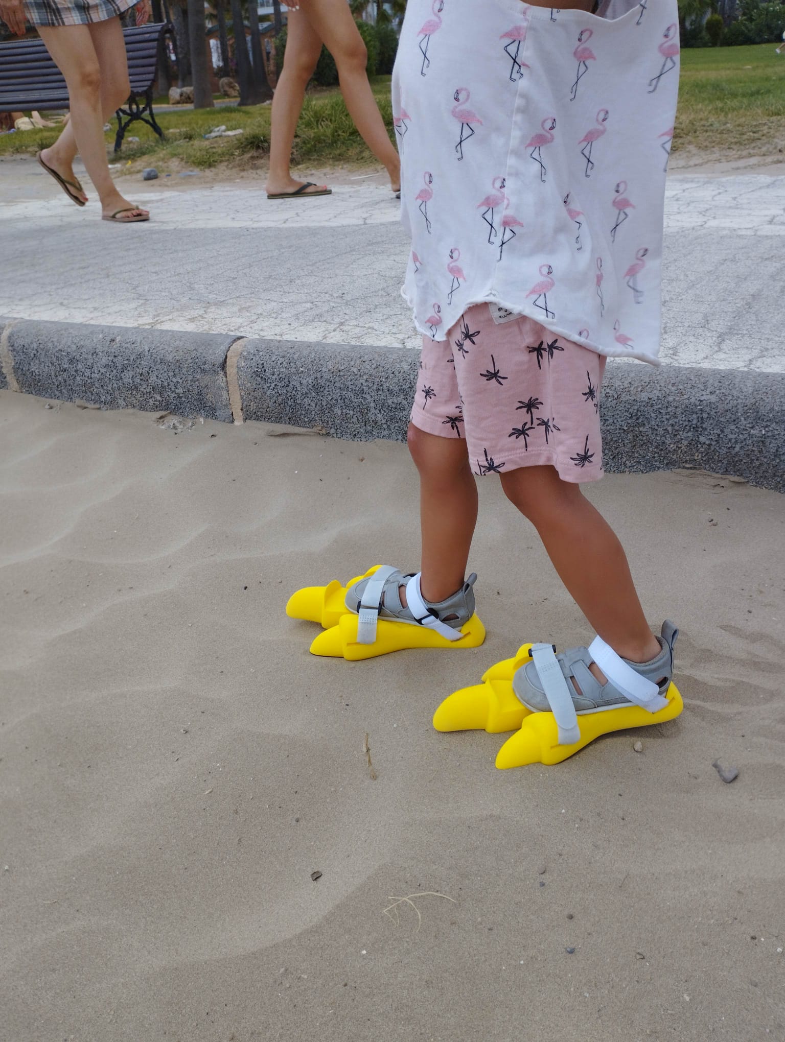 Dinoshoes