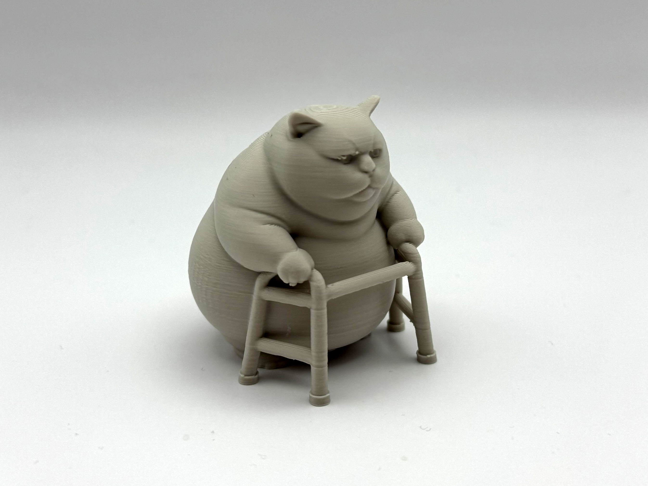 Chonky Kitten with Walker