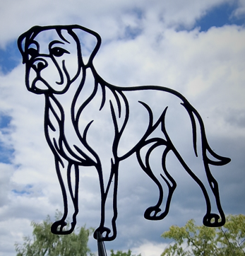 Boxer dog