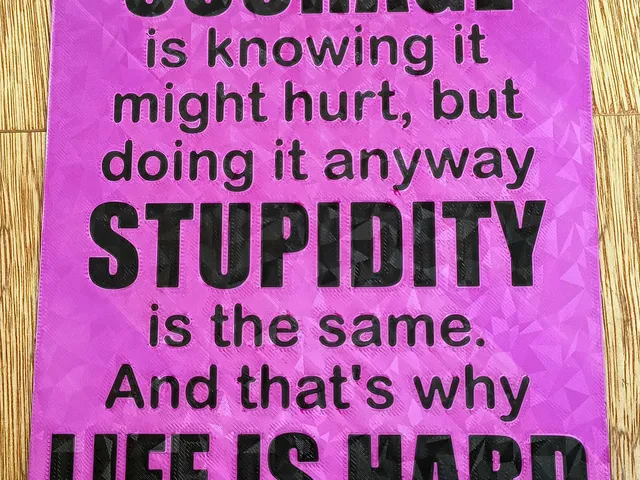 Funny Sign - "Courage is knowing it might hurt but doing it anyway..." Dual colour design