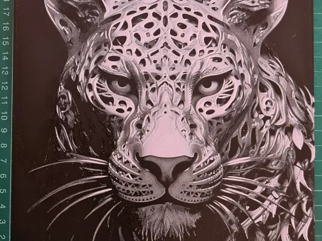 Big Kitty