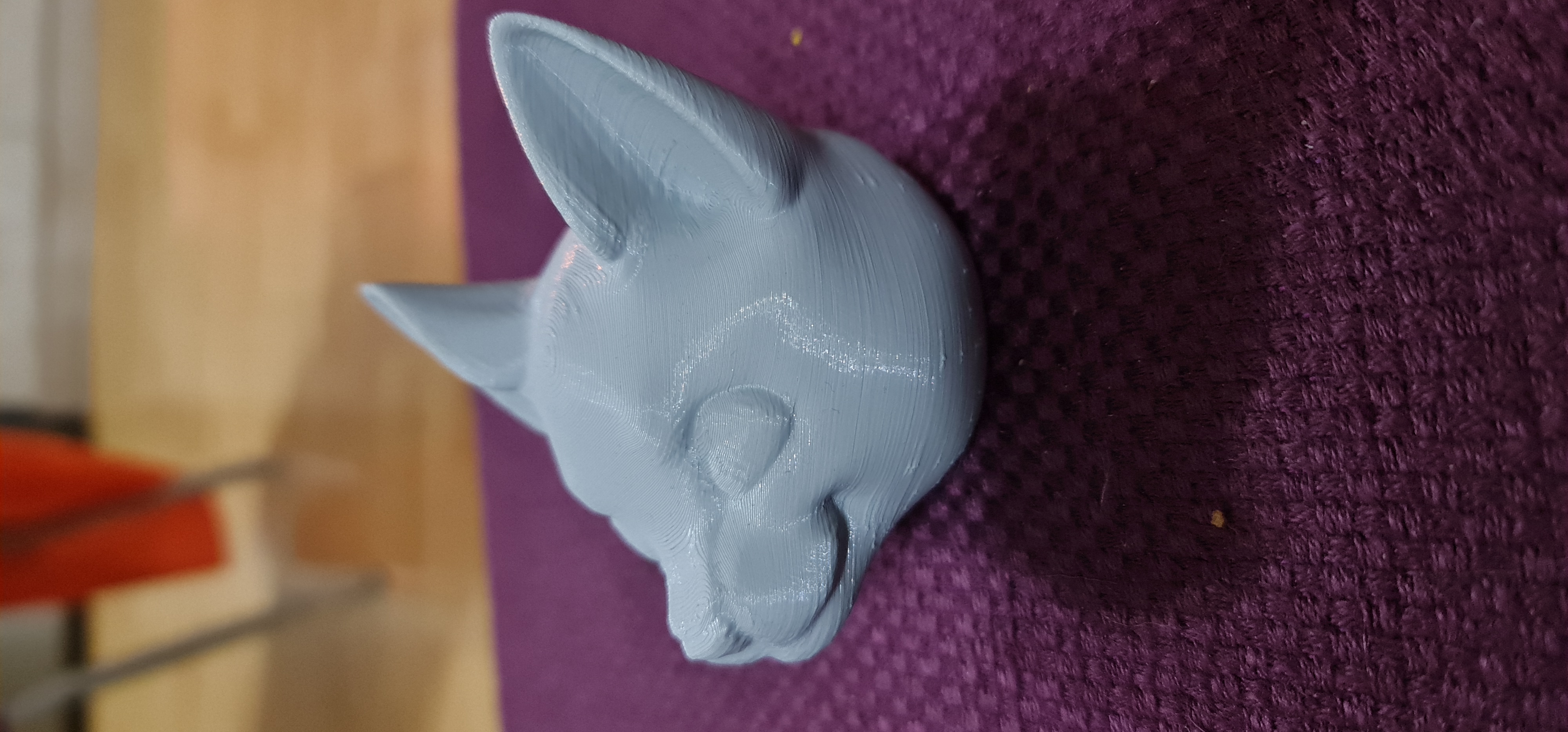 cat head