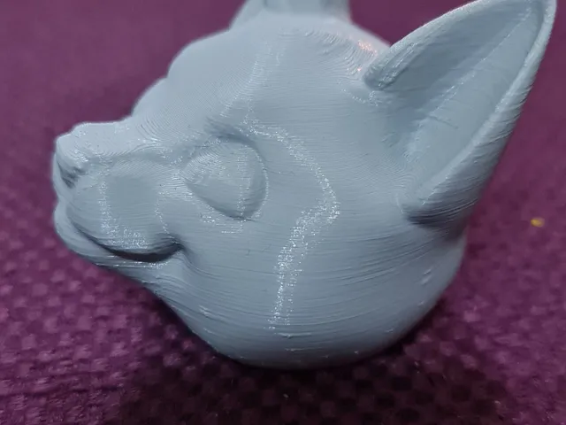 cat head