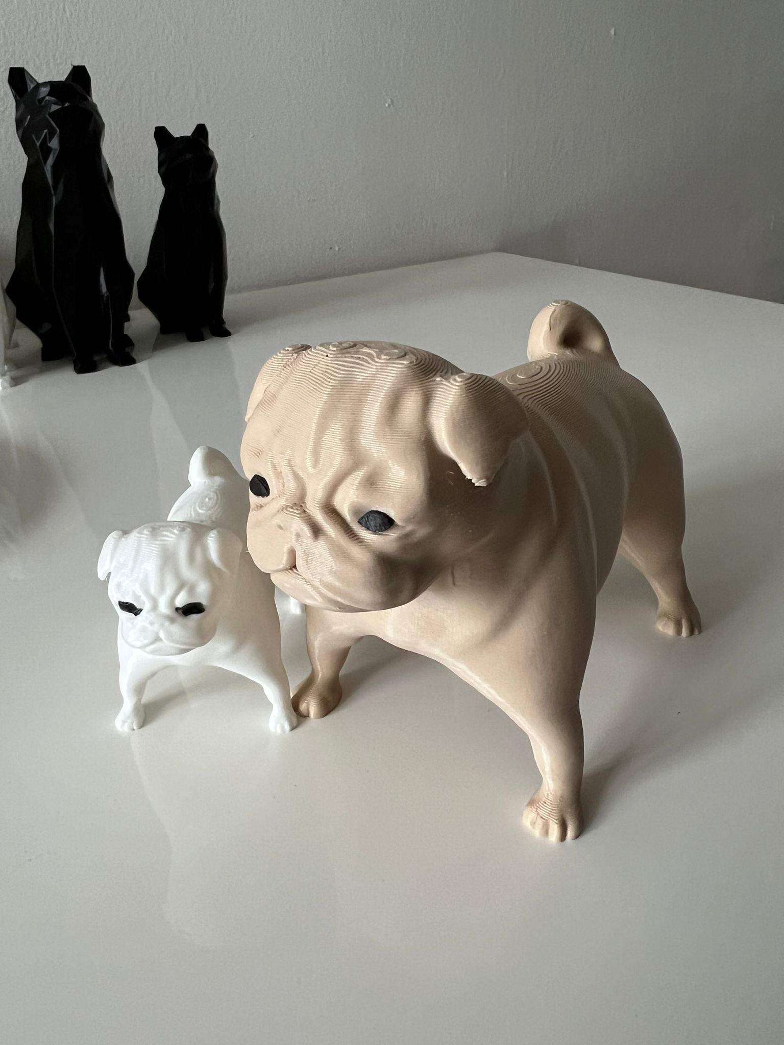 Dog Pug Mops french bulldog