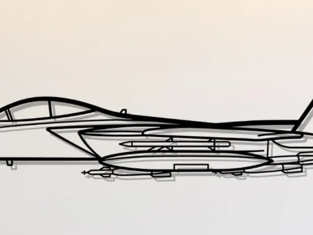 McDonnell Douglas F-15 Strike Eagle Wall Art
