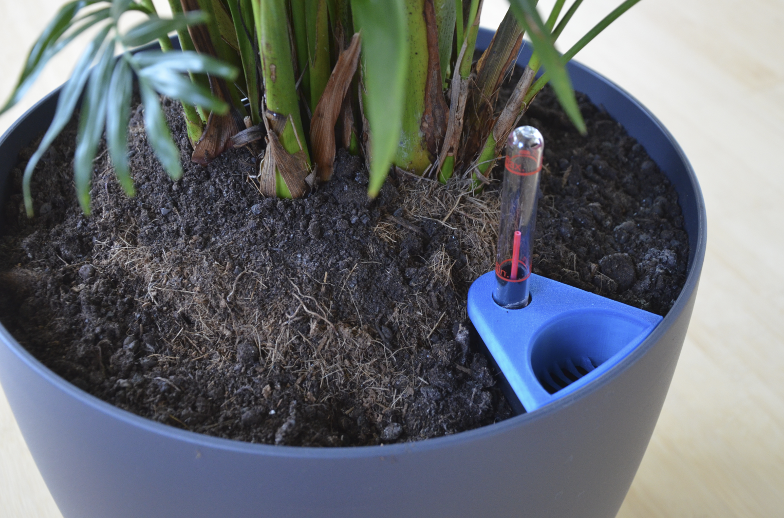 Lechuza self watering planter insert
