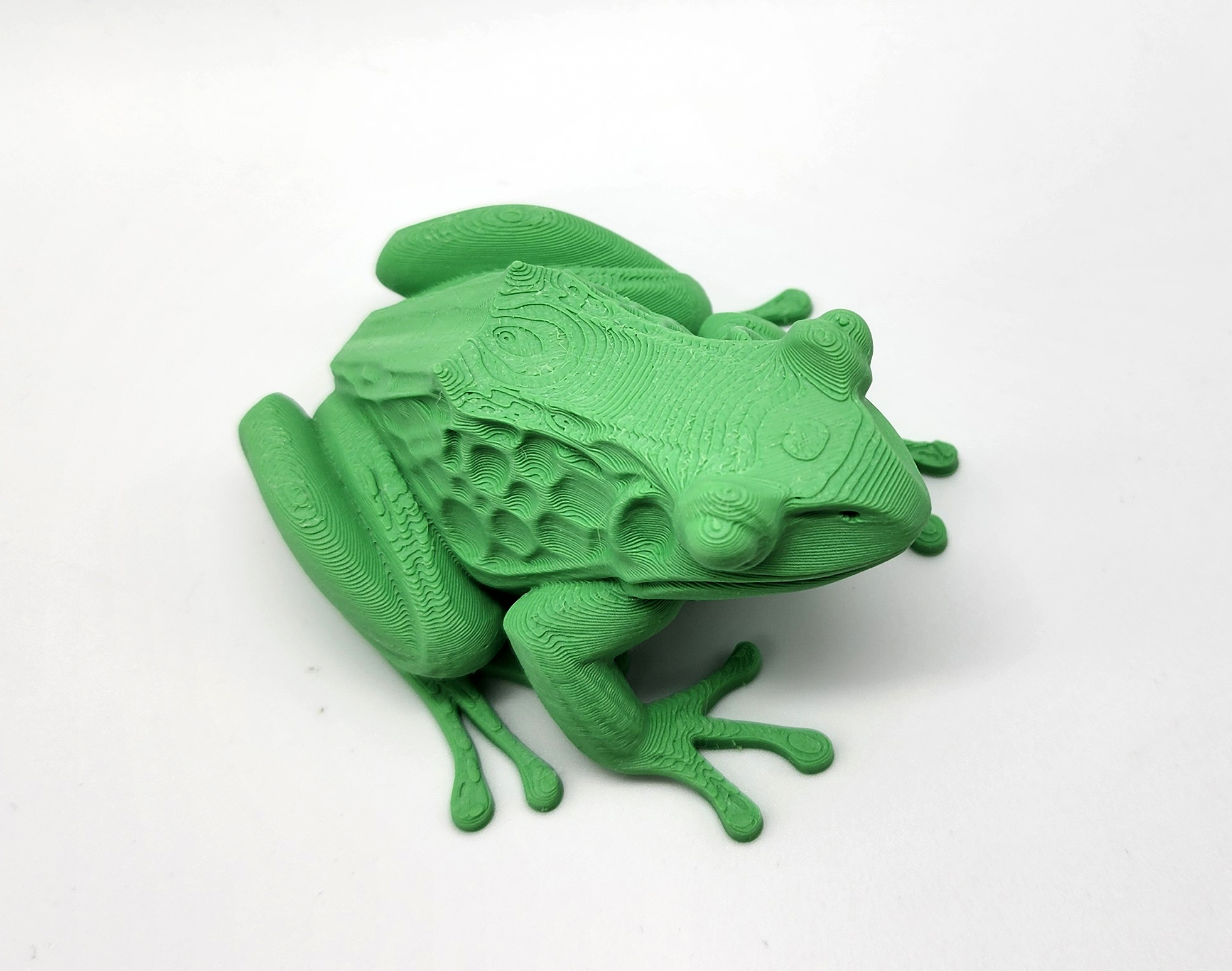 Miniatura 2 do modelo 3D Realistic Frog