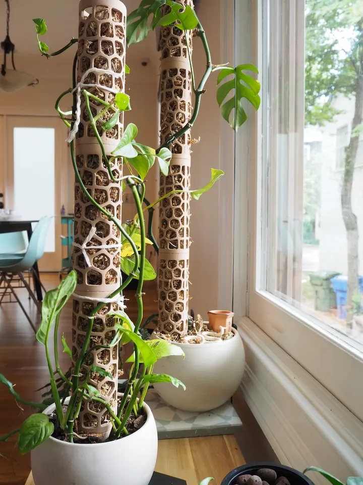 Voronoi Moss Pole by Colleen Jordan | Download free STL model |  Printables.com