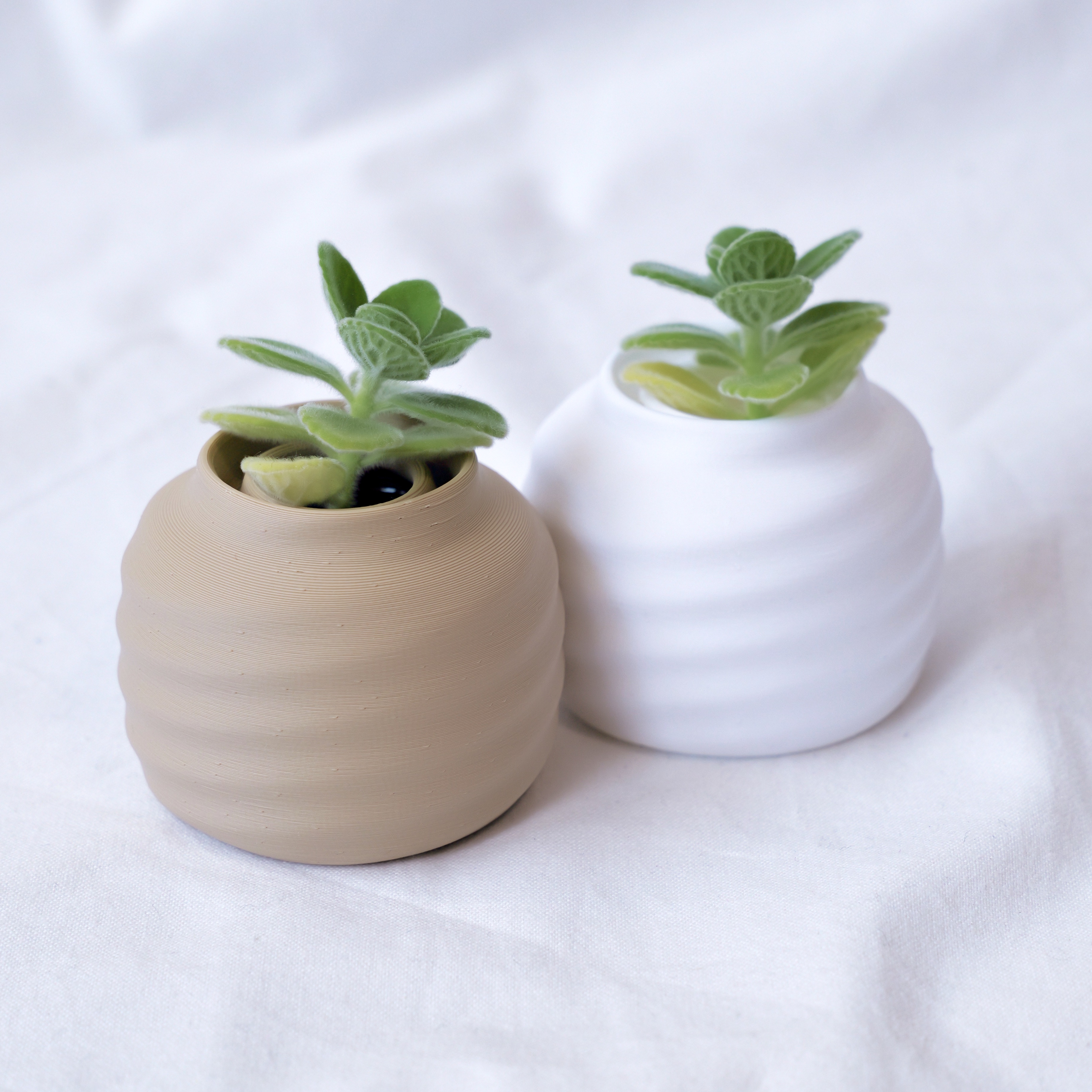 Minipot