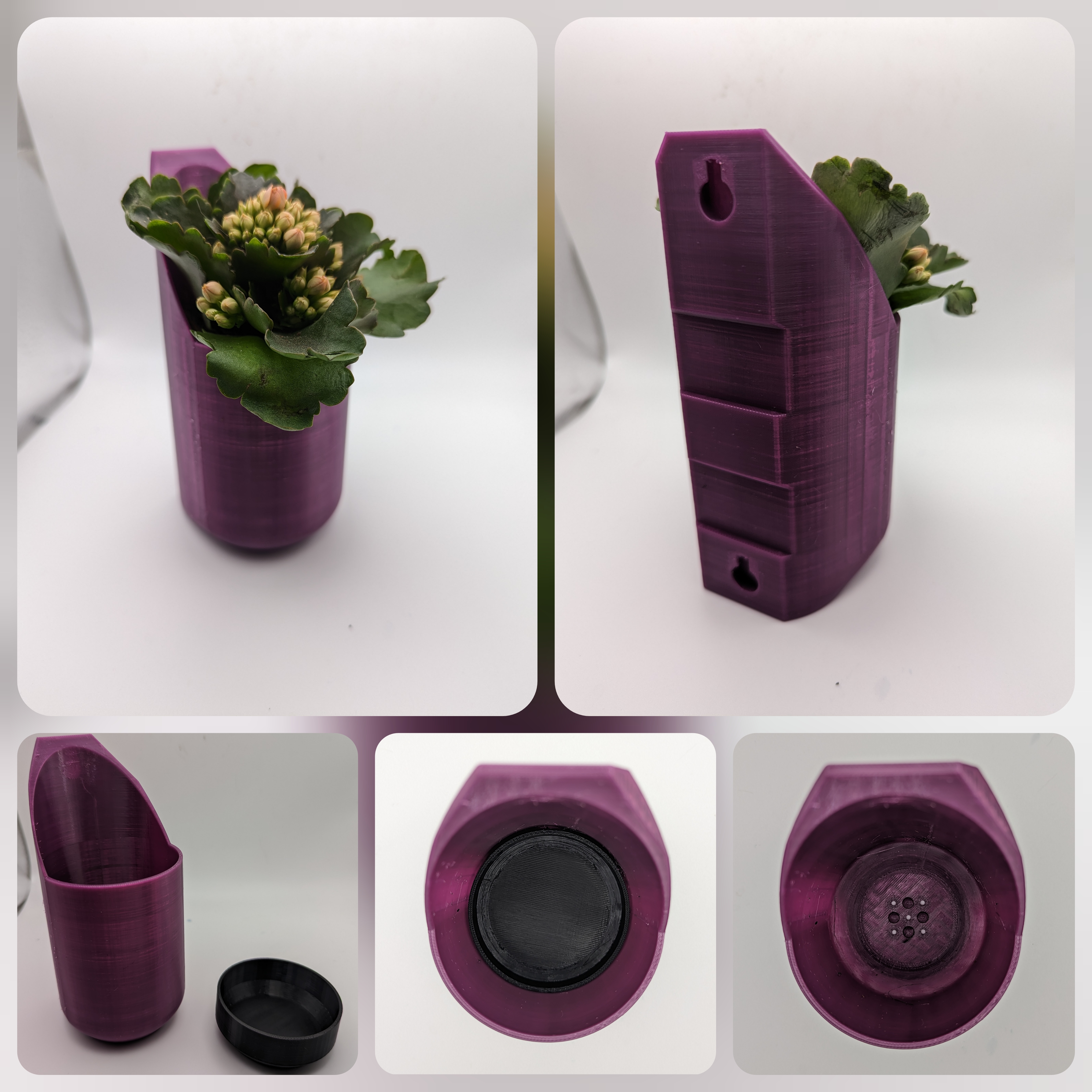 Wall Planters