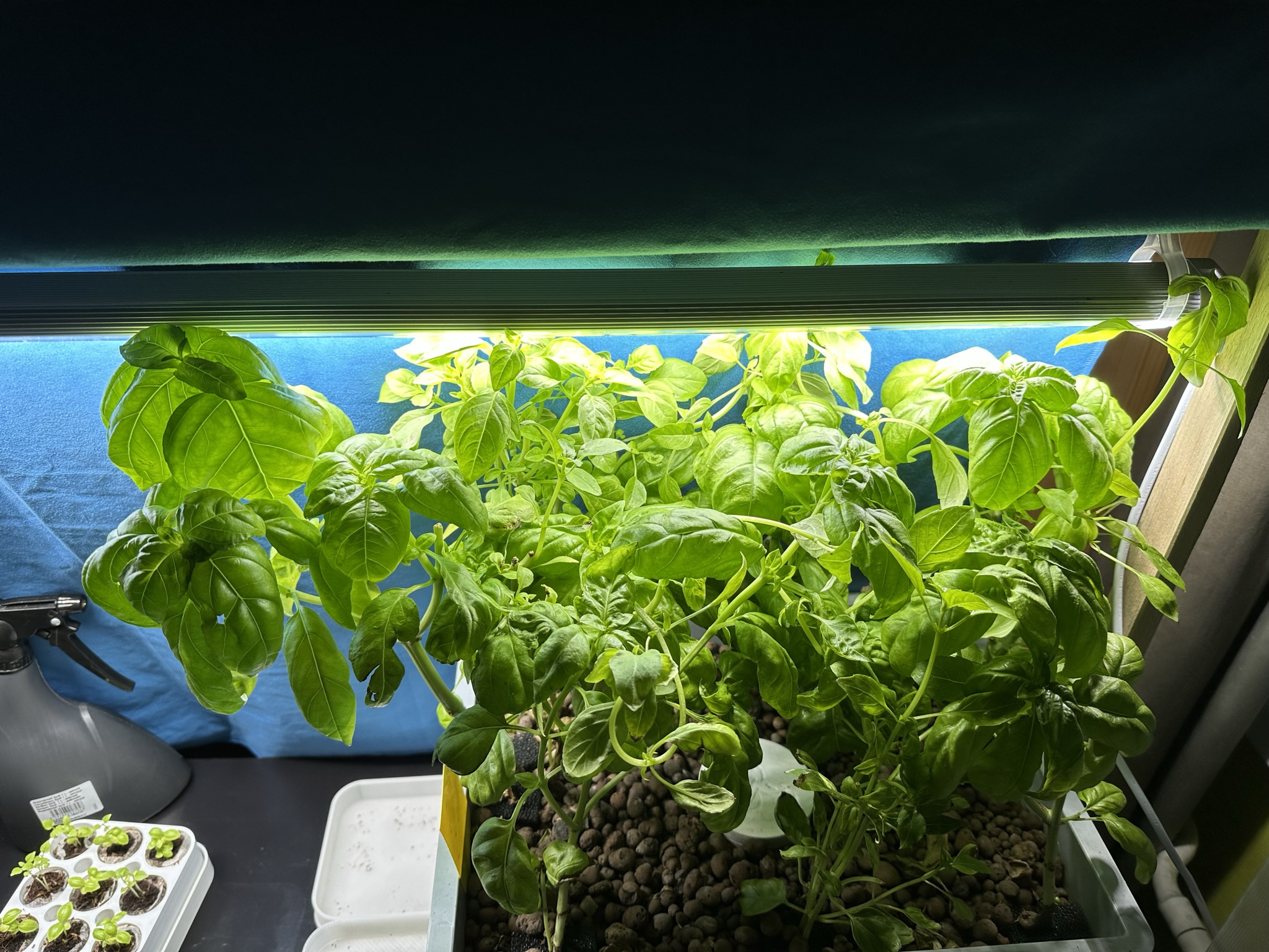 Miniatura 2 do modelo 3D Flood&Drain hydroponic adapter