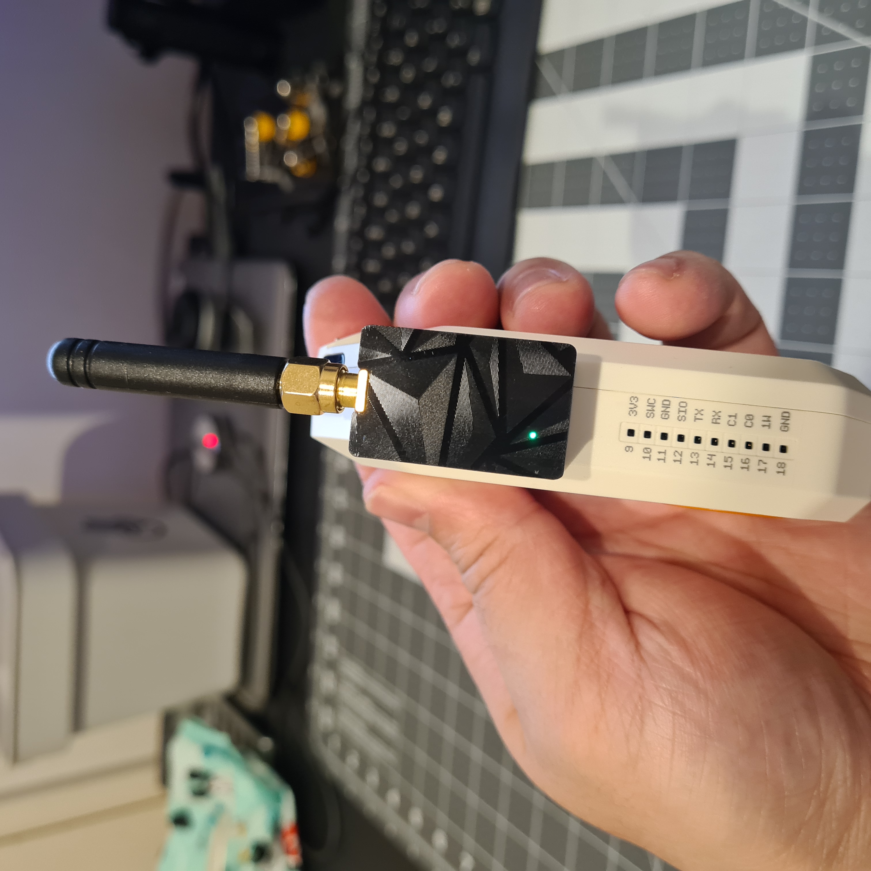 RJ019 C1101 Flipper Zero Case