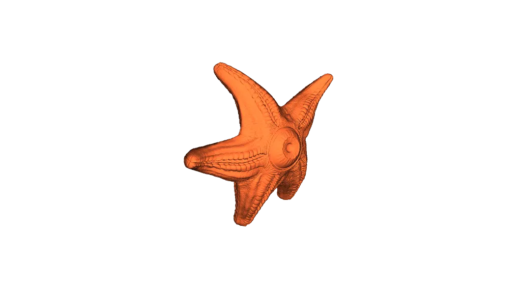 Starro by JS-studio | Download free STL model | Printables.com