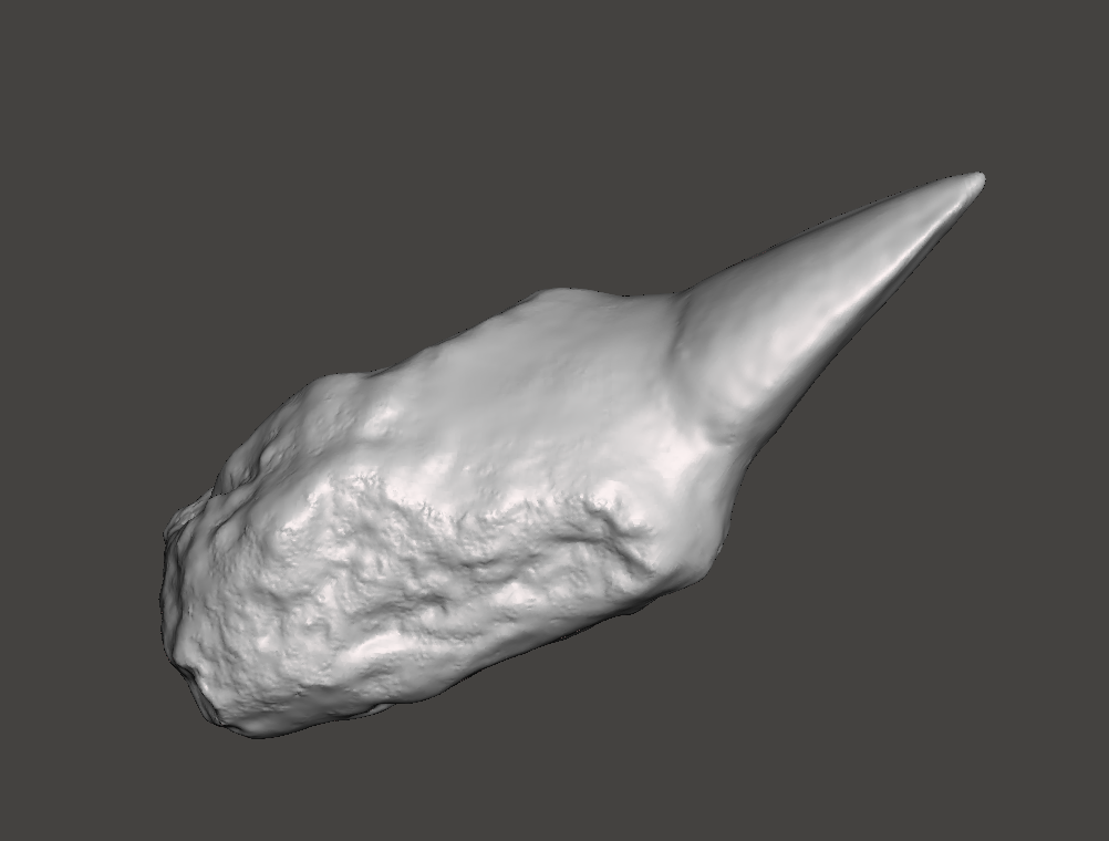 3D scan of a Mosasaurus tooth