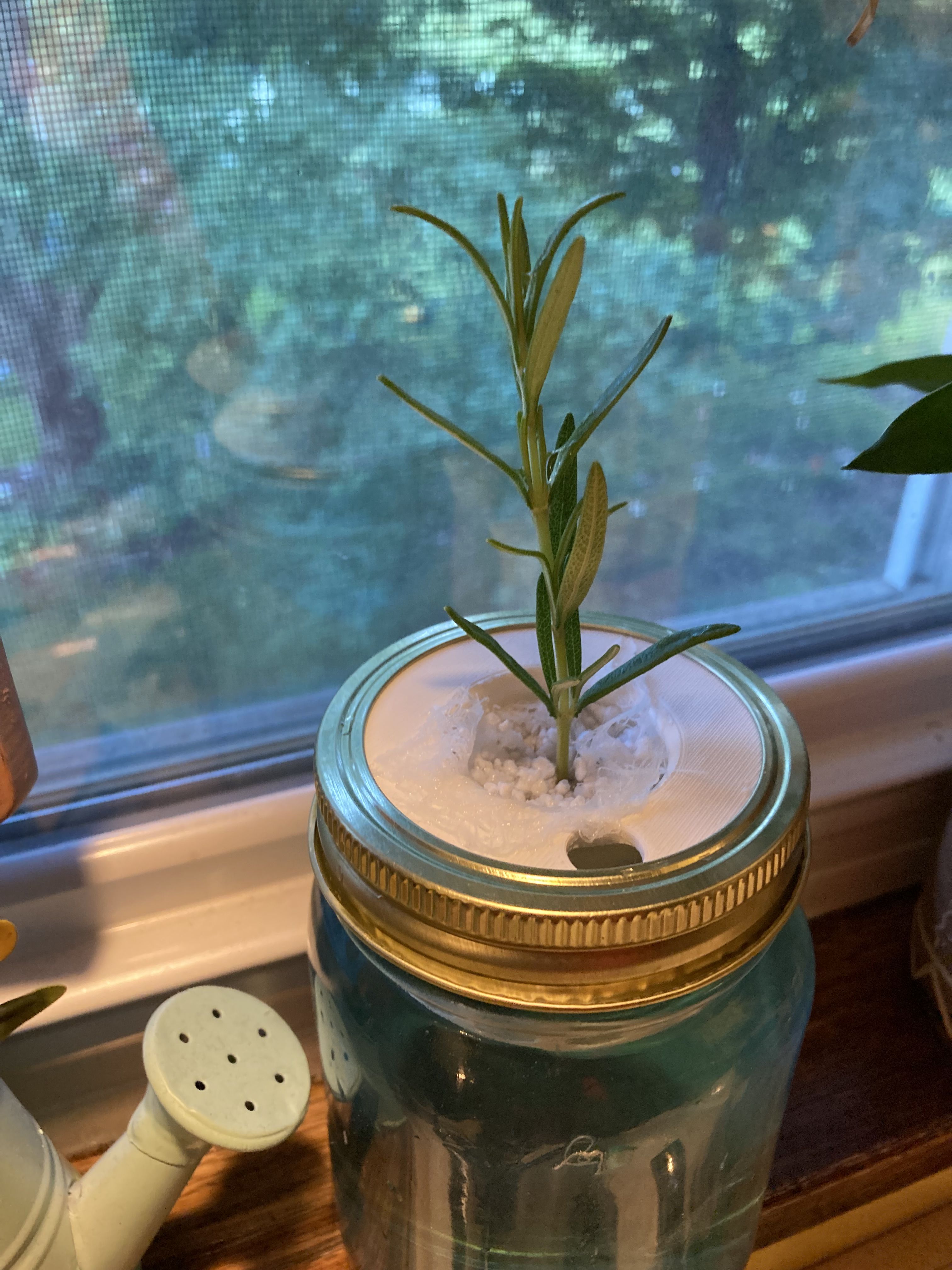 Kratky Hydroponics Pod for Regular mouth mason jars