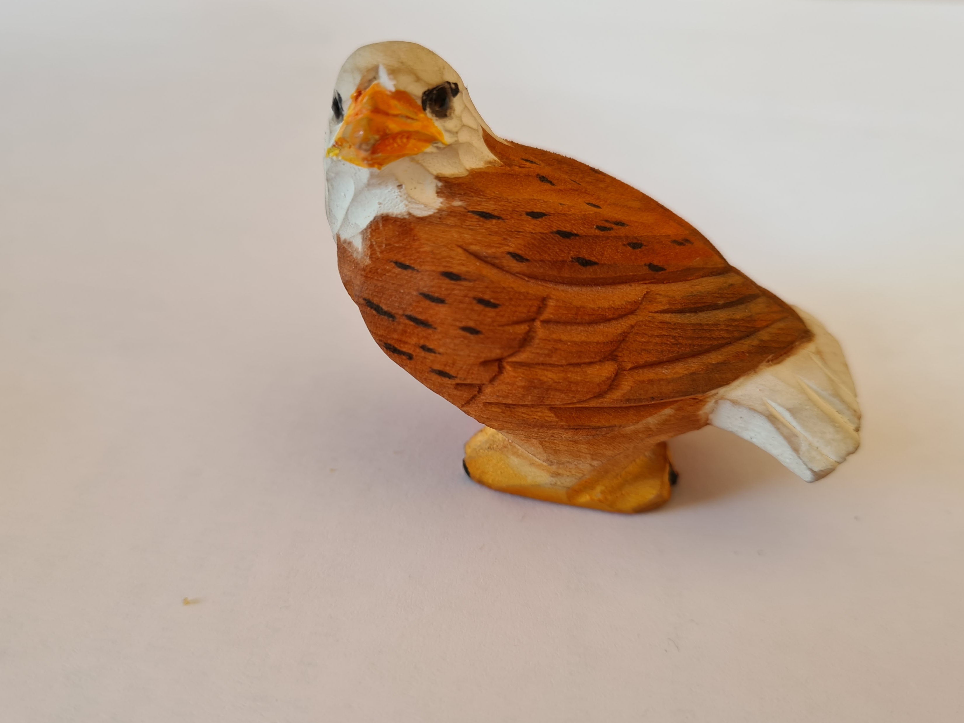Fotogrammetrie Adler