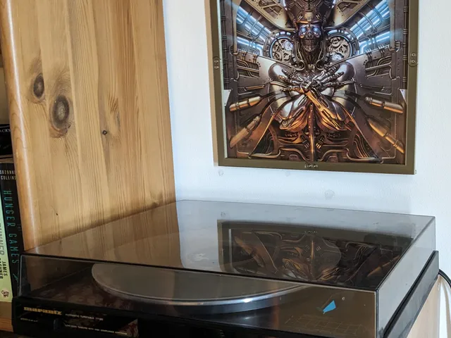 Vinyl Album Frame (Printable on Mini)