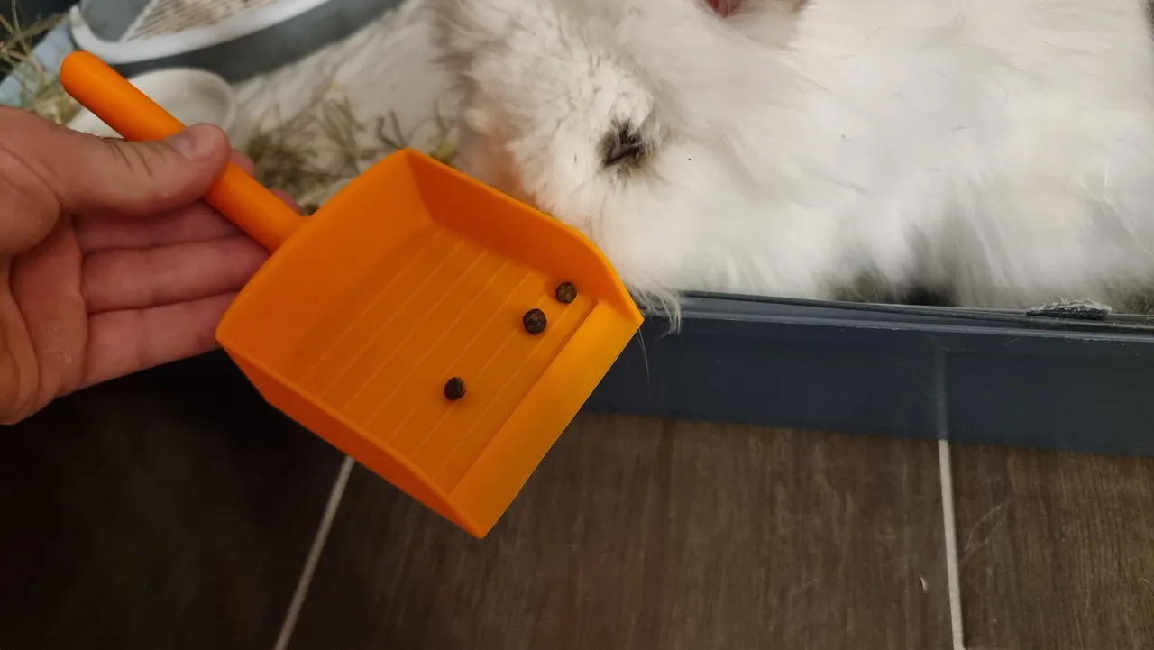 Rabbit store poop scoop