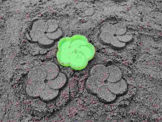 Sand Flower