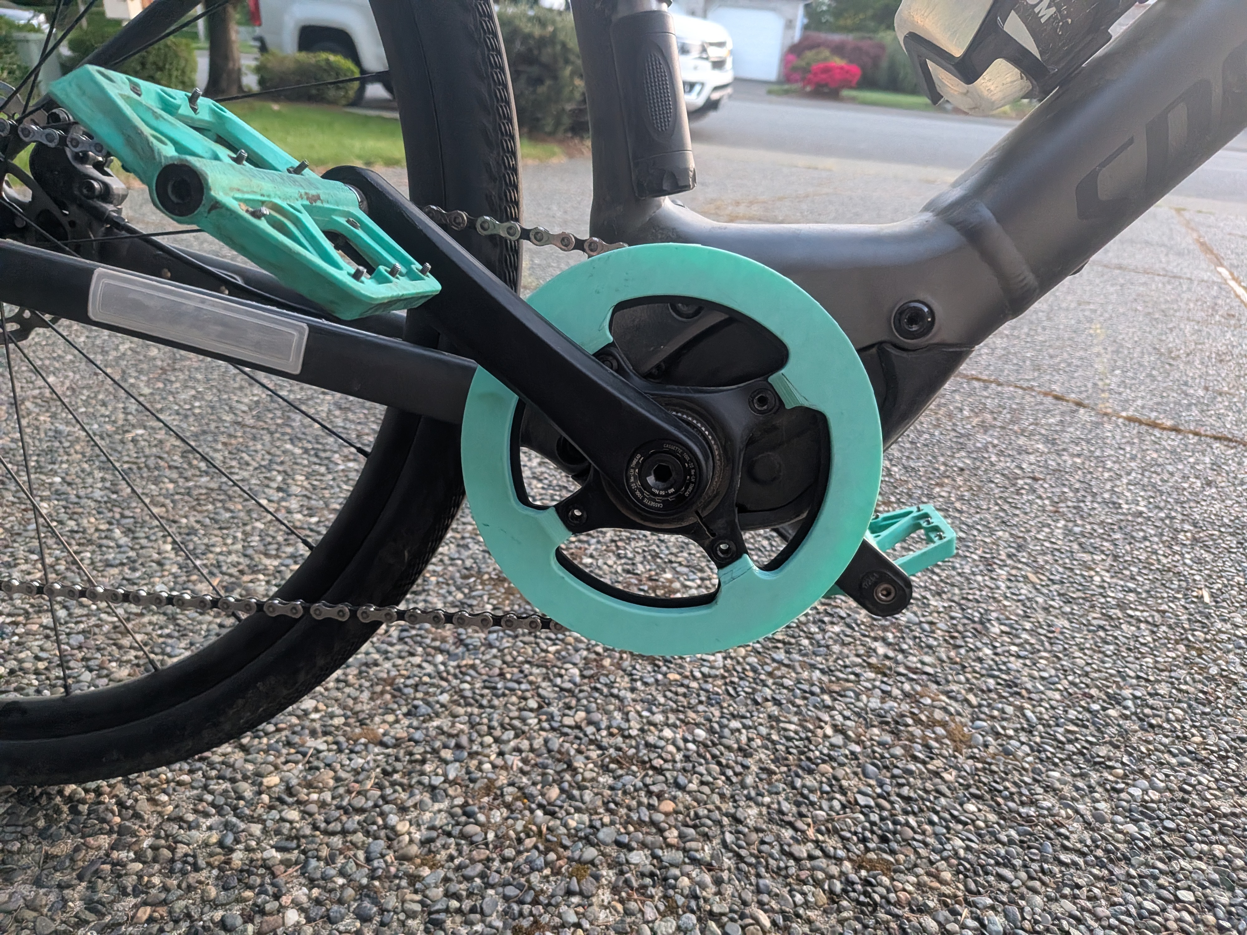 44T Praxis Chainring Guard