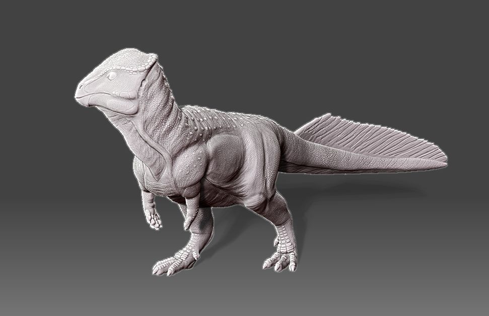 Stegoceras Statue