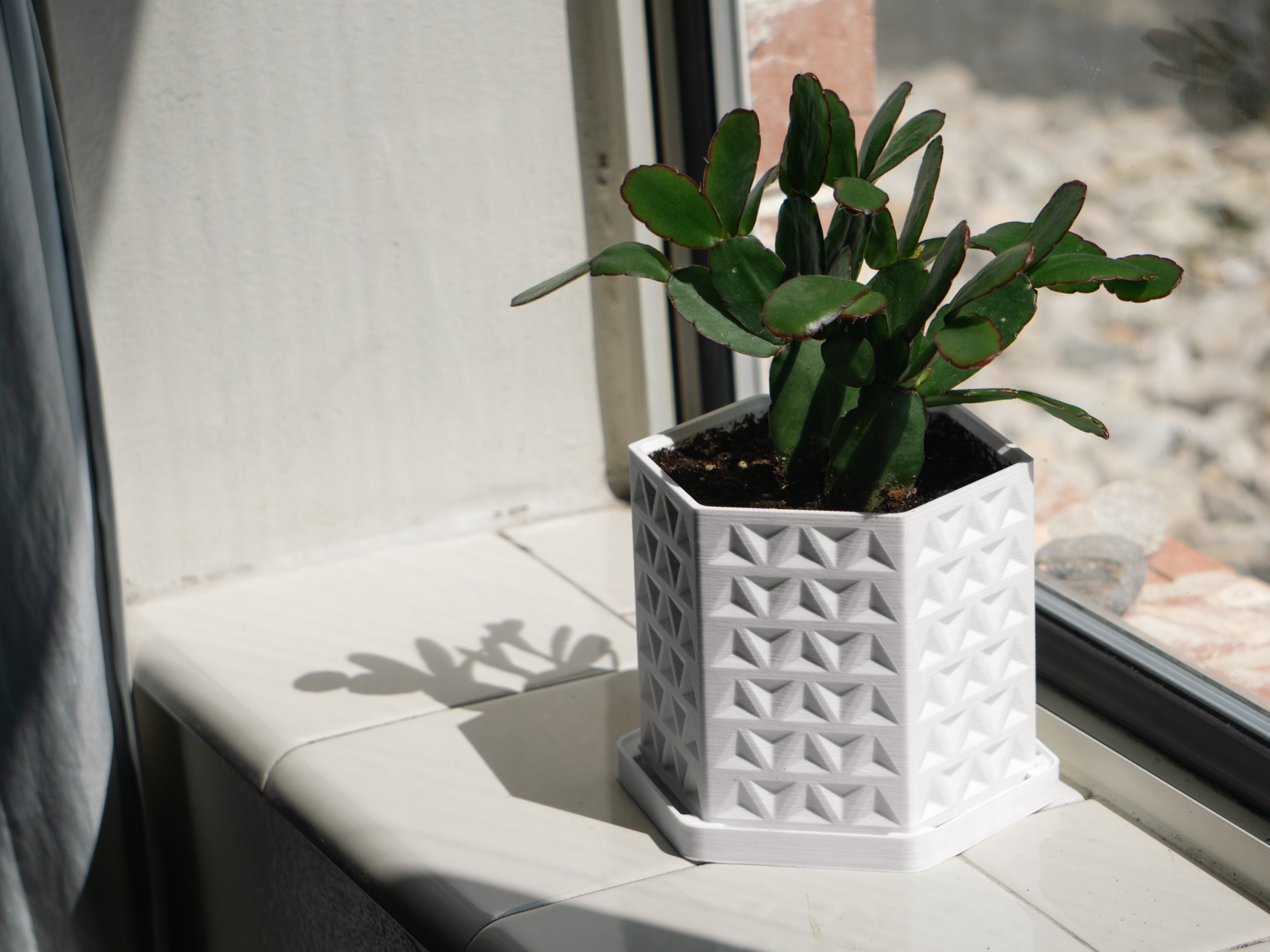 Tri-Hex Planter Pot, 4 inches, with Drainage Holes, Drip Tray