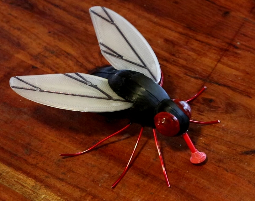 Giant Fly by Miaoucat | Download free STL model | Printables.com