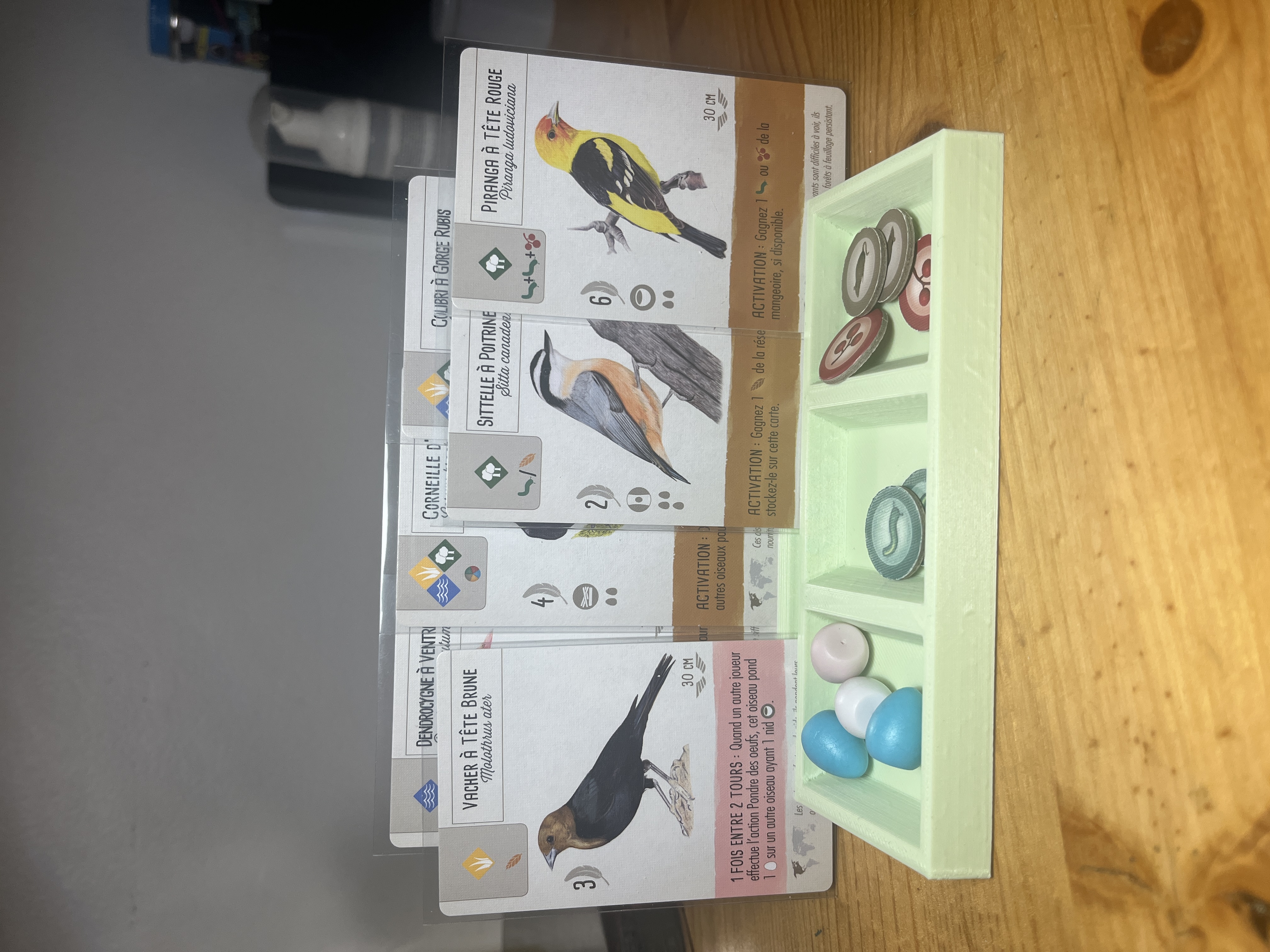Bit and card holder