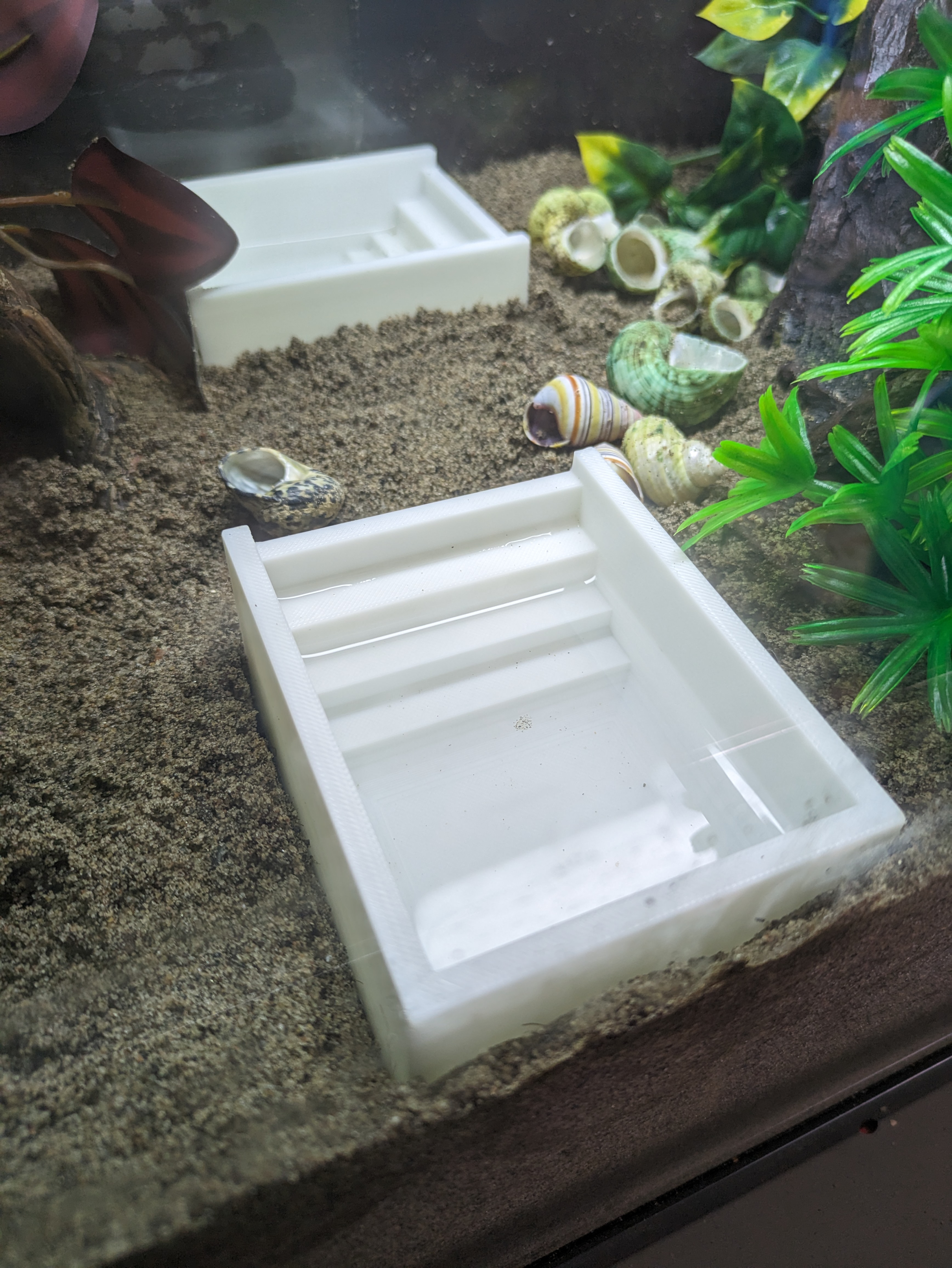 Hermit Crab Water Bowl