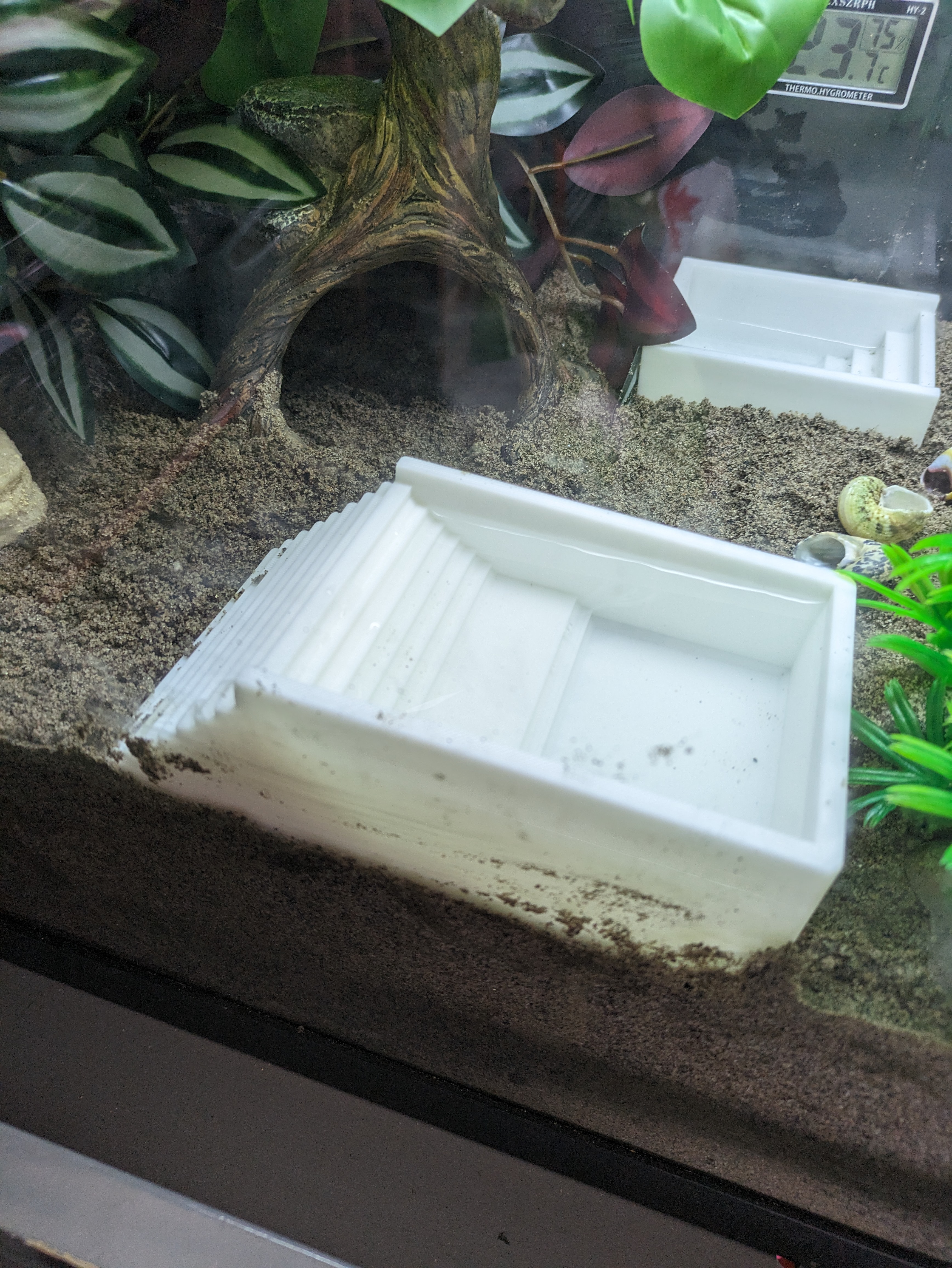 Hermit Crab Water Bowl 2.0
