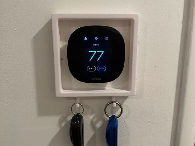 Ecobee Frame with hooks