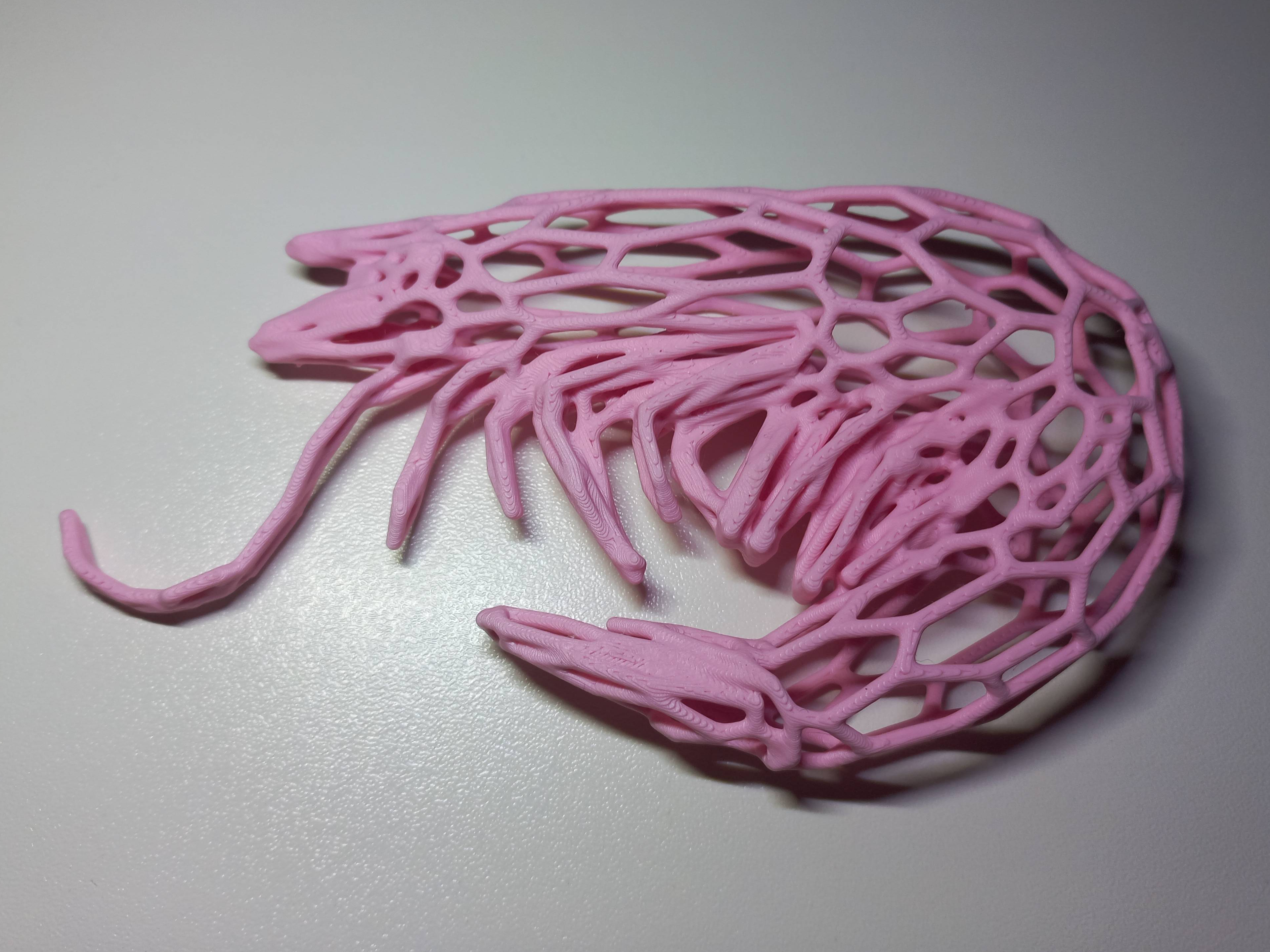 Shrimp Voronoi — thumbnail 2