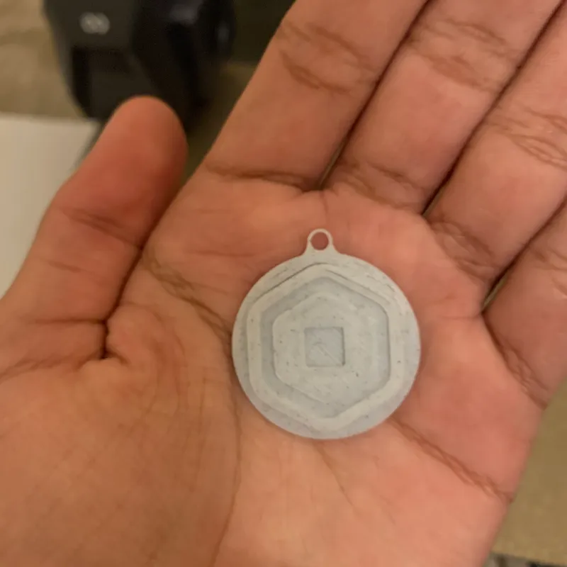3MF file Roblox Keychain Party Favors / Robux coins 🗝️・3D print design to  download・Cults