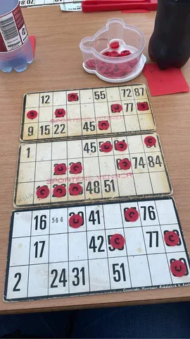 Bingo Chip / Piece
