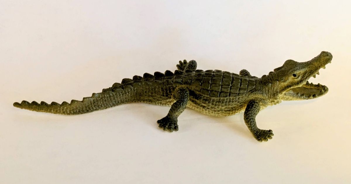 Alligator Toy 3D Scan by Levi Sitts | Download free STL model ...