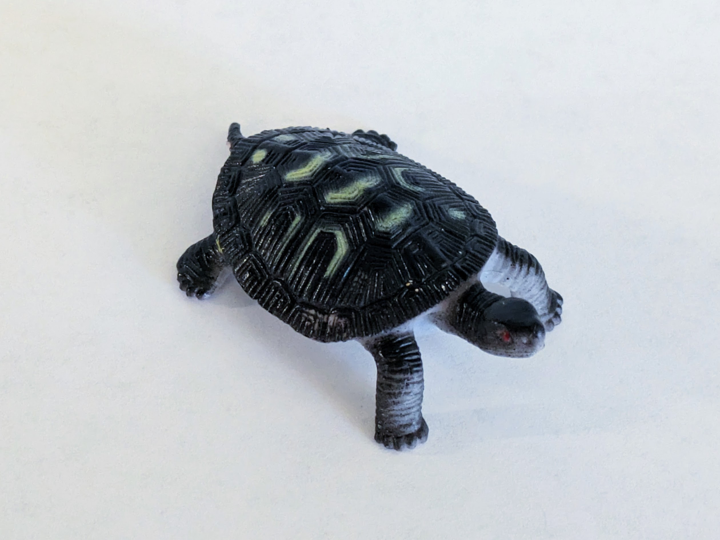 Rubber Turtle 3D Scans by Levi Sitts | Download free STL model ...