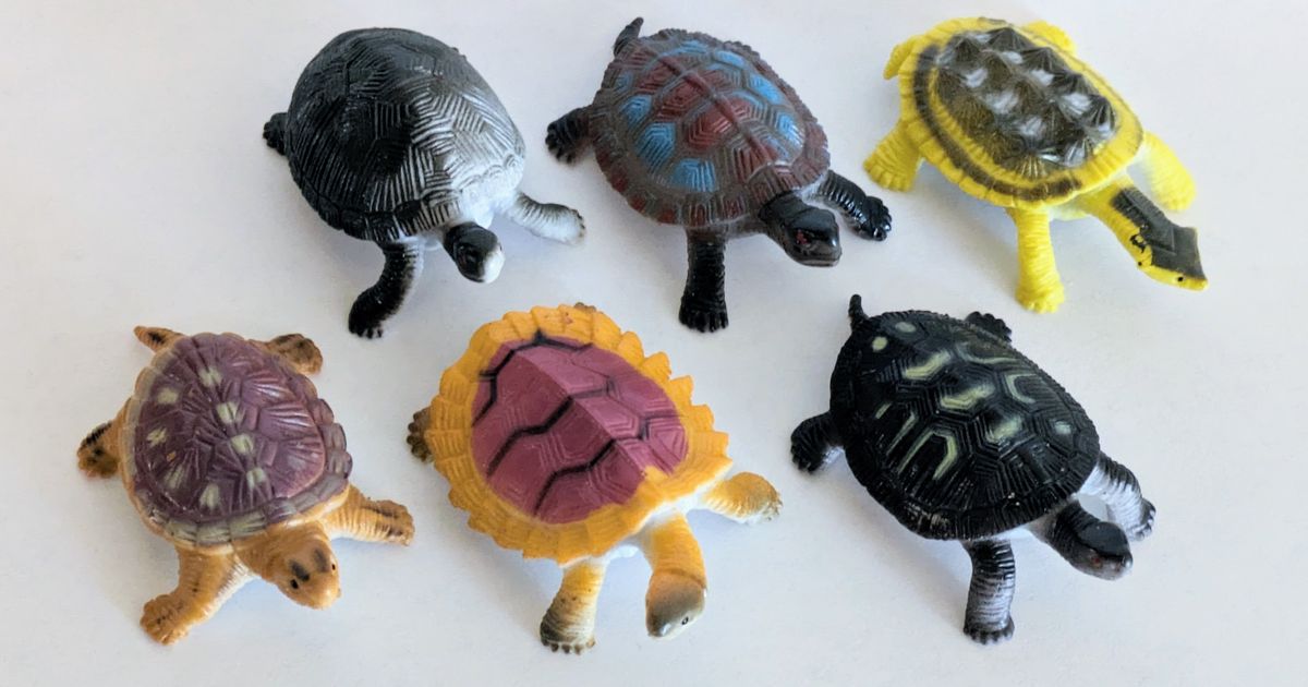 Educating Hungry Ravens with 3D Printed Tortoise Shells - 3DPrint